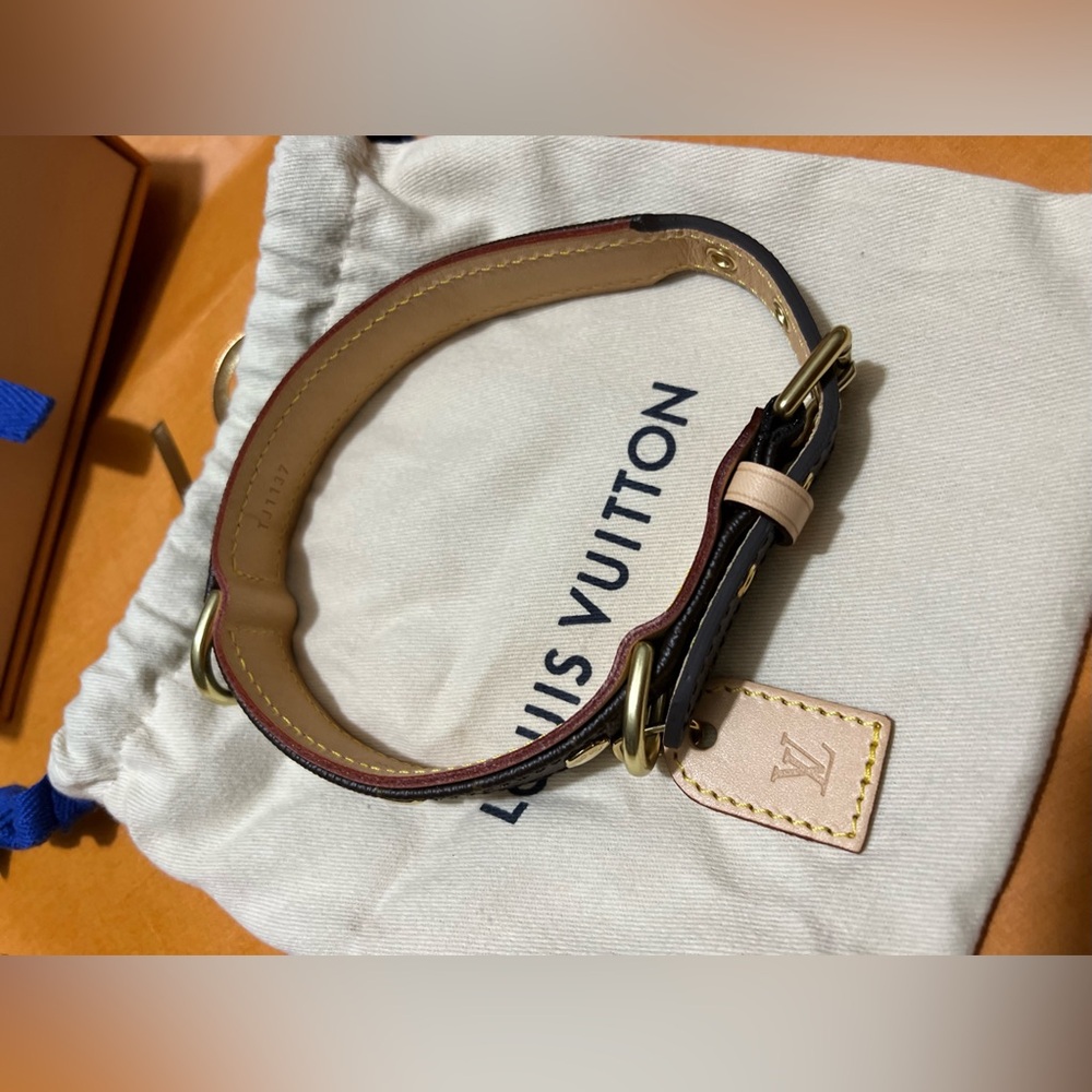 Authentic Louis Vuttion Baxter Collar - Picture 6 of 10